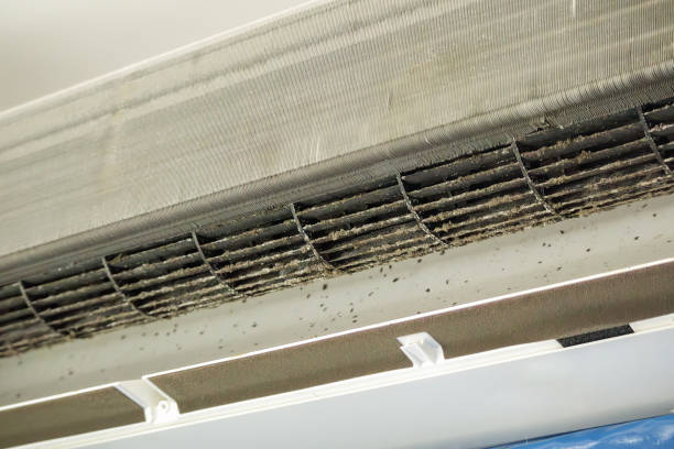 Best Affordable Duct Cleaning Services  in Lakeland South, WA